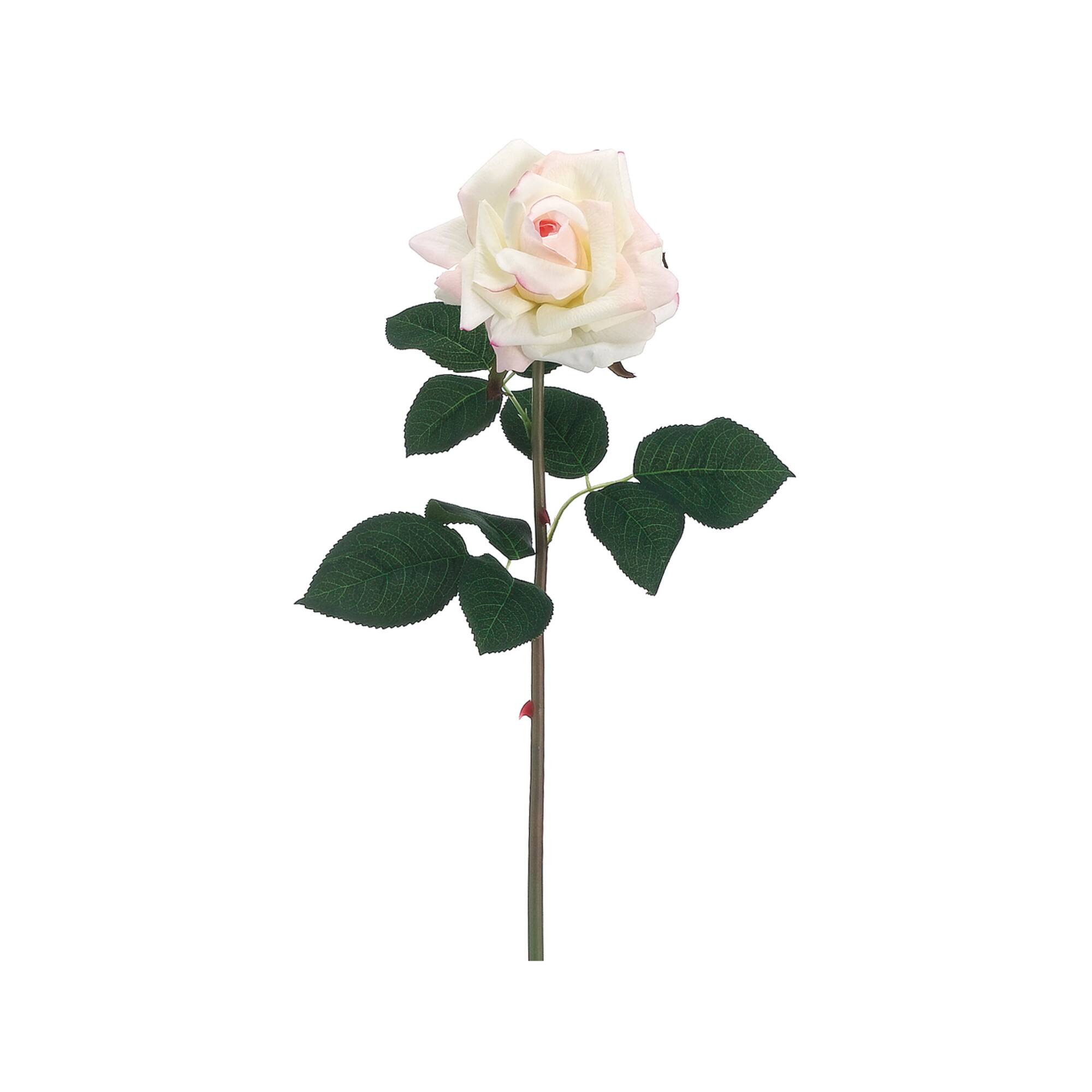 Real Touch Cream & Pink Rose Spray